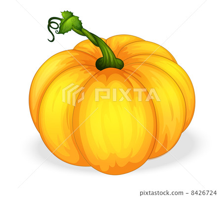 pumpkin pumpkin 8426724