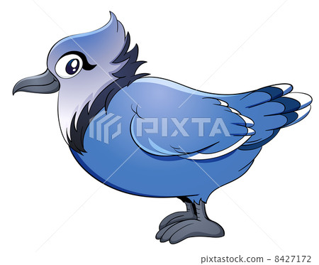 Pigeon Pigeon 8427172