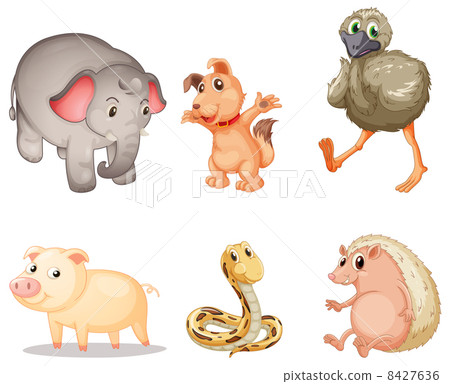 Animal series Animal series 8427636