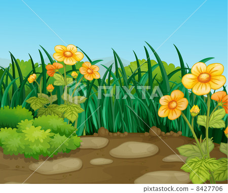 landscape 8427706