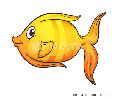 Isolated tropical fish on white Isolated tropical fish on white 8428048