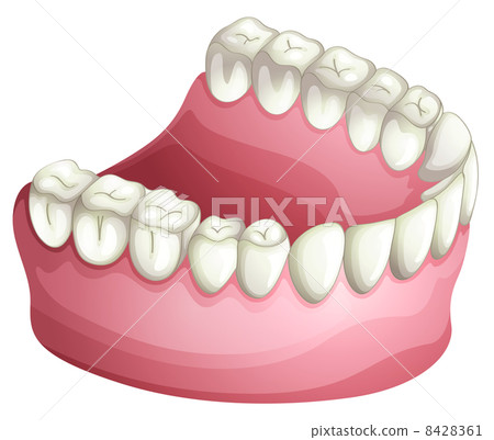 Denture Denture 8428361
