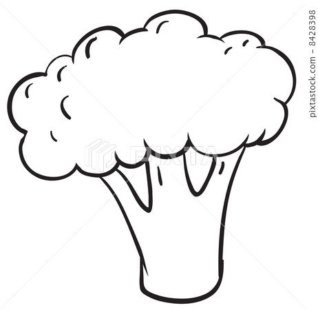cauliflower cauliflower 8428398
