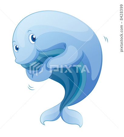 whale whale 8428399