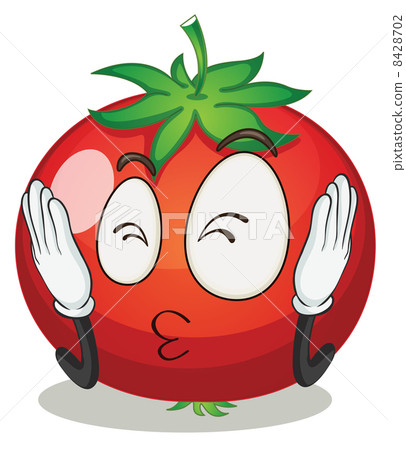 illustration : tomato