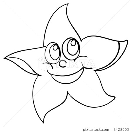 starfish 8428903