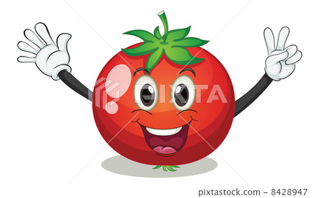 tomato 8428947
