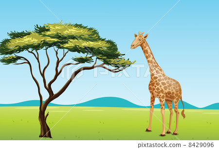 Giraffe by a tree 8429096
