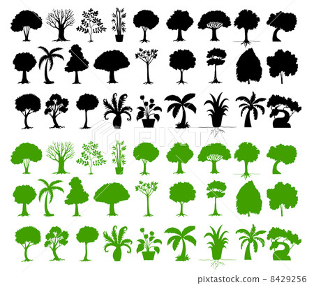 Variety of trees 8429256