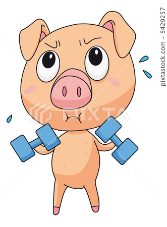 Fit pig Fit pig 8429257