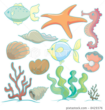 sea animals and plants 8429376