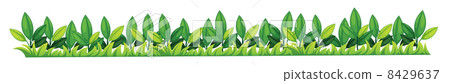 Grass texture Grass texture 8429637