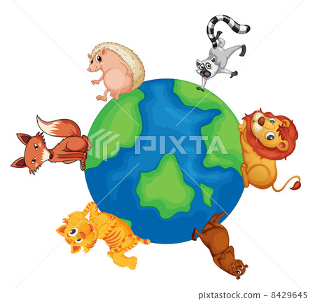 various animals on earth various animals on earth 8429645