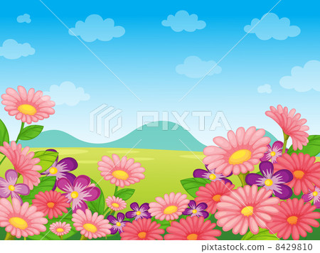 nature scene nature scene 8429810