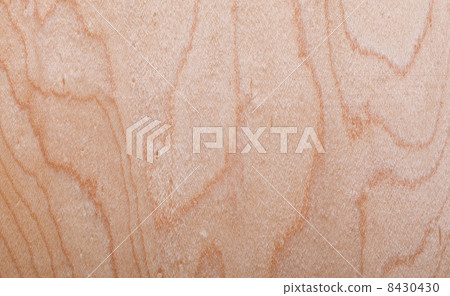 wood texture 8430430