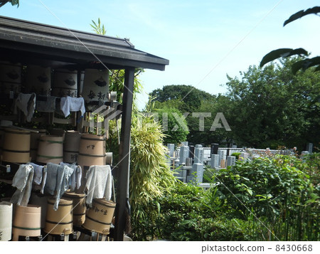 Cemetery of Samukawa 8430668