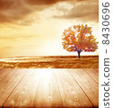 autumn background with wooden planks 8430696