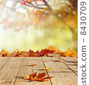 autumn background 8430709
