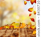 autumn background 8430710