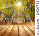 autumn background  with wooden planks 8430711