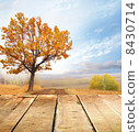 autumn background 8430714