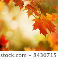 autumn background 8430715