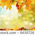 autumn background 8430726