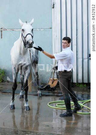 Jockey hold horse on leash on hippodrome 8432912