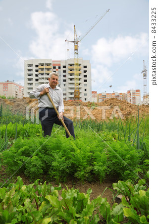 Grandfather dig field near construction yard Grandfather dig field near construction yard 8433225