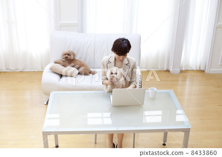 女性和玩具貴賓犬 女性和玩具貴賓犬 8433860