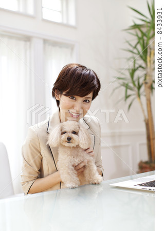 Female and Toy Poodle Female and Toy Poodle 8433931