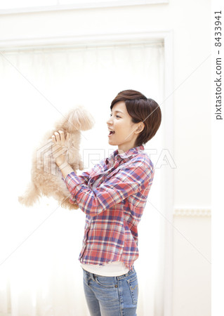 女性和玩具貴賓犬 女性和玩具貴賓犬 8433941
