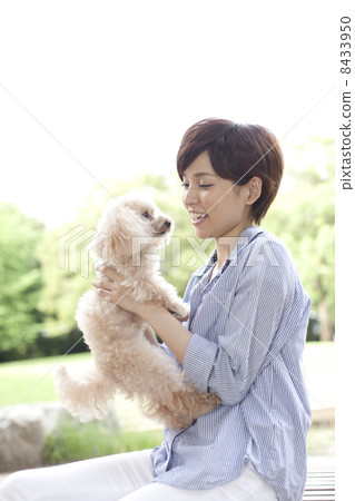 女性和玩具貴賓犬 女性和玩具貴賓犬 8433950