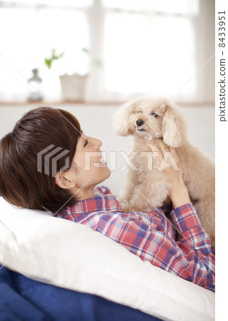 女性和玩具貴賓犬 女性和玩具貴賓犬 8433951