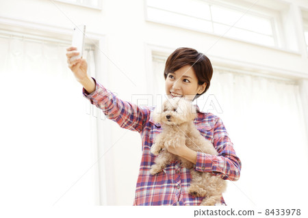 女性和玩具貴賓犬 8433978