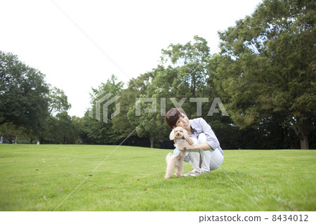女性和玩具貴賓犬 8434012