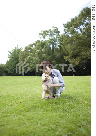 Female and Toy Poodle 8434046