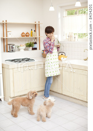Tea time woman and Toy poodle Tea time woman and Toy poodle 8434201