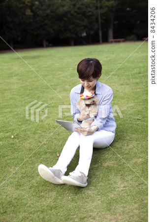 婦女和平板電腦和玩具貴賓犬 婦女和平板電腦和玩具貴賓犬 8434206