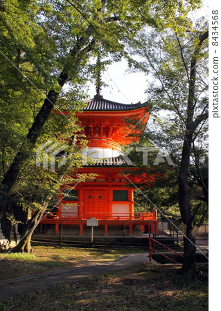 Kiniiida Taga塔 8434568