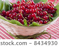 Red currant 8434930