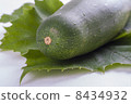 Zucchini 8434932