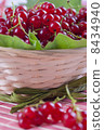 Red currant 8434940