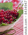 Red currant 8434947