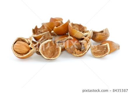 Small pile of hazelnuts shells and one cracked Small pile of hazelnuts shells and one cracked 8435387