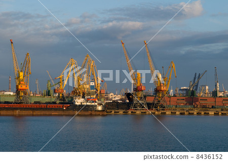 cranes in a harbour 8436152