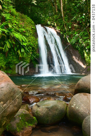 La Cascade aux Ecrevisses, Guadeloupe, French caribbean island 8437138