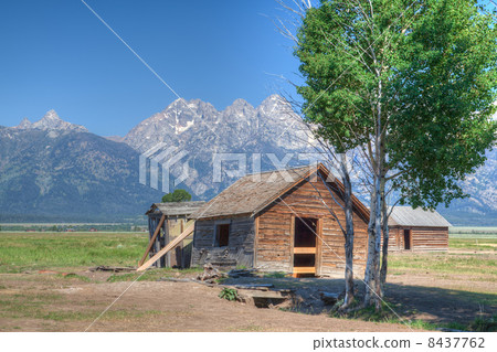 On the iconic John Moulton farm 8437762