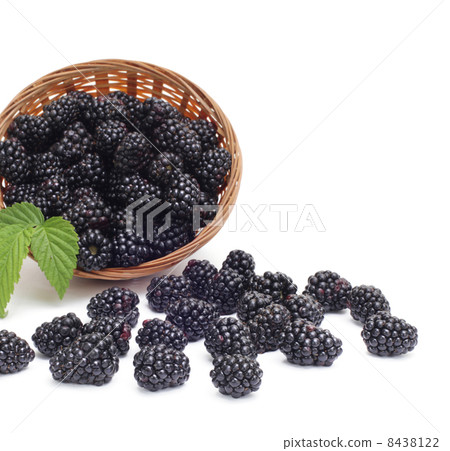 Fresh blackberry with leaf in basket 8438122