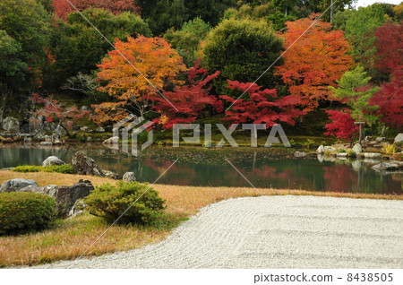 Fall of Kyoto Tenryu-ji Temple 8438505